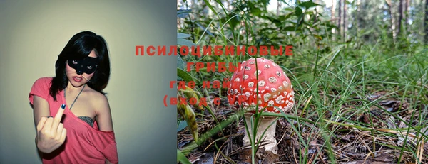 амфетамин Алексин