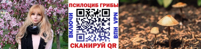Галлюциногенные грибы MAGIC MUSHROOMS  нарко площадка наркотические препараты  Приморск  блэк спрут вход 